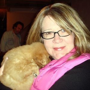 Meet your Posher, Lynn